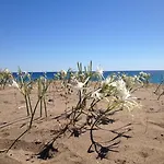 Πανσιόν Bellerofon