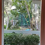 Bellerofon 4* Çıralı
