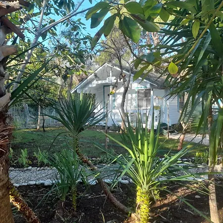 Bellerofon 게스트하우스 4*