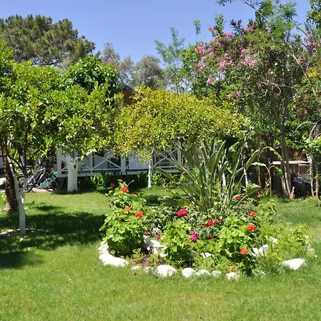 Bellerofon 4* Çıralı