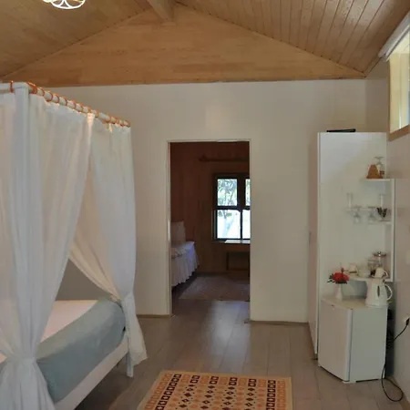 Bellerofon Çıralı