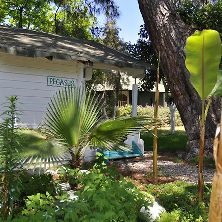 게스트하우스 Bellerofon Çıralı