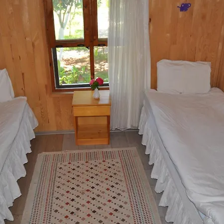 Bellerofon 게스트하우스 Çıralı