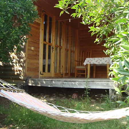 게스트하우스 Bellerofon 4*