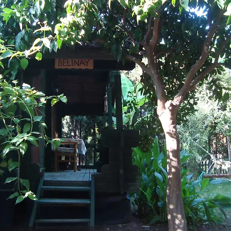 Bellerofon 게스트하우스 Çıralı