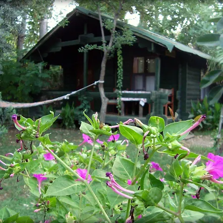 게스트하우스 Bellerofon