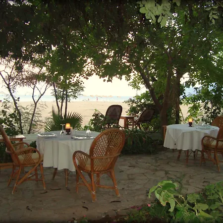 Bellerofon 4* Çıralı