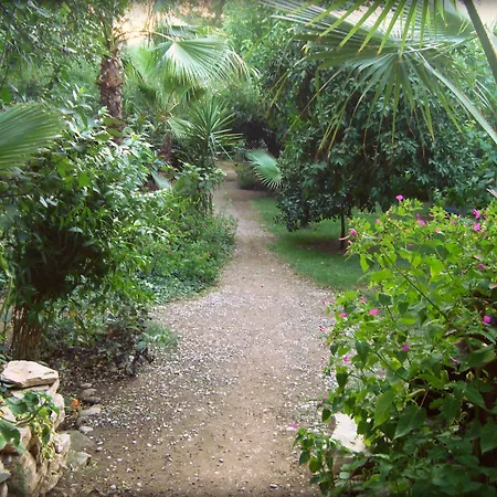 Bellerofon 게스트하우스