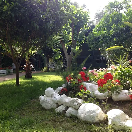 Bellerofon 4* Çıralı