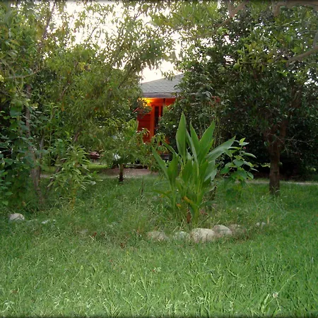 게스트하우스 Bellerofon 4*