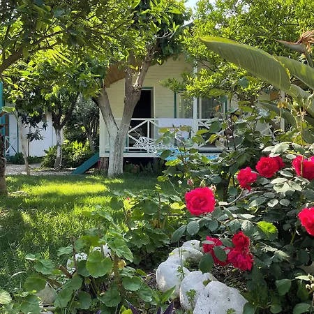 Bellerofon 게스트하우스 Çıralı