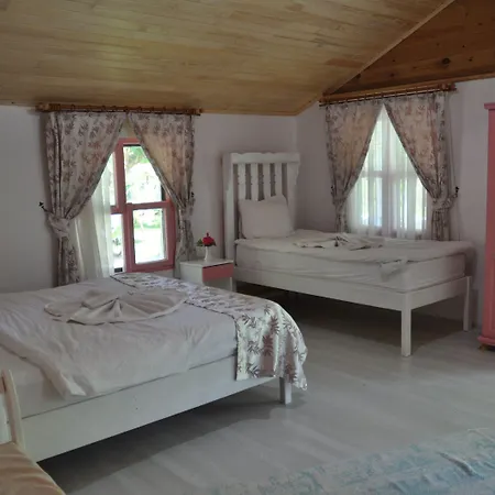 Bellerofon Çıralı