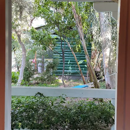 Bellerofon 4* Çıralı