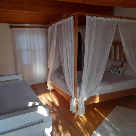 ゲストハウス Bellerofon Çıralı