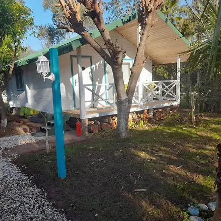 ゲストハウス Bellerofon Çıralı