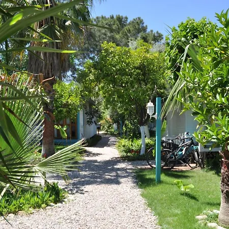 Bellerofon ゲストハウス