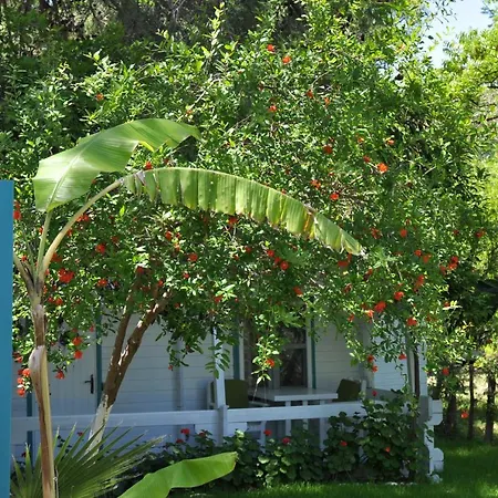 Guest house Bellerofon