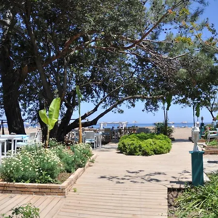 Bellerofon 4* Çıralı