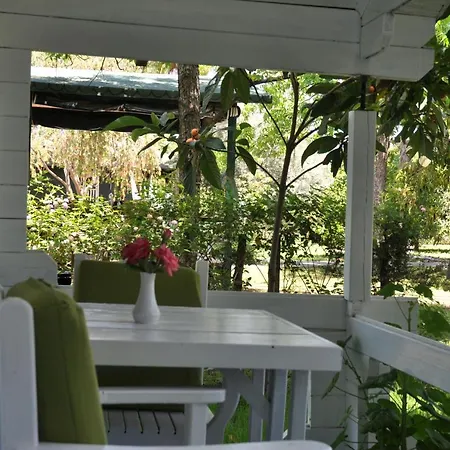 ゲストハウス Bellerofon Çıralı