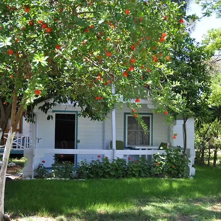 ゲストハウス Bellerofon Çıralı