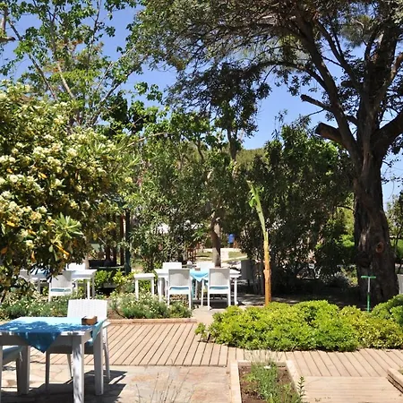 ゲストハウス Bellerofon