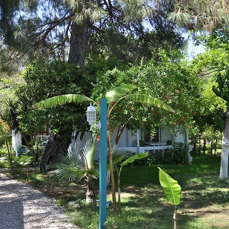 Bellerofon 3*