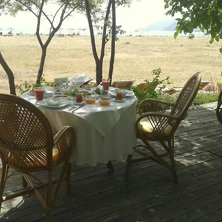 ゲストハウス Bellerofon Çıralı