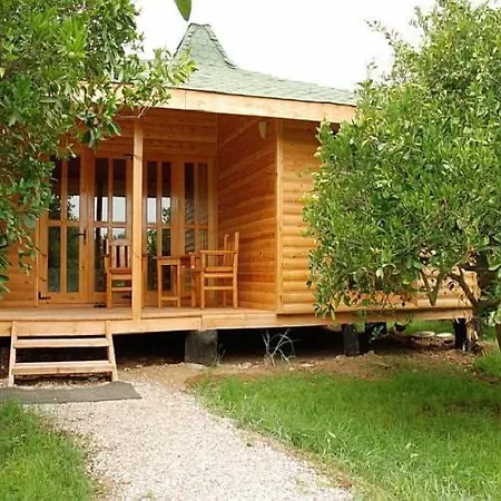 Bellerofon Çıralı