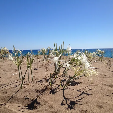 ゲストハウス Bellerofon