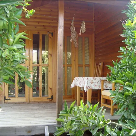 ゲストハウス Bellerofon