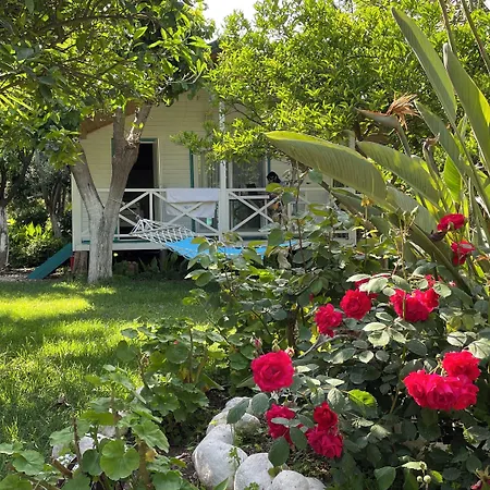 Bellerofon ゲストハウス Çıralı