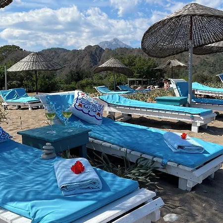 ゲストハウス Bellerofon