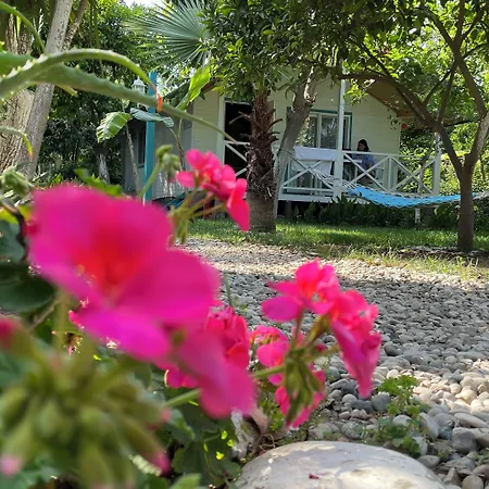 ゲストハウス Bellerofon Çıralı