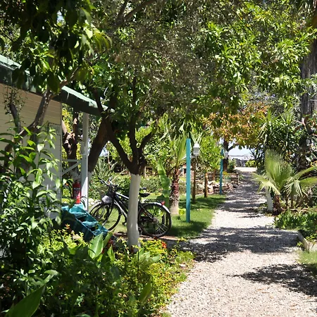 ゲストハウス Bellerofon