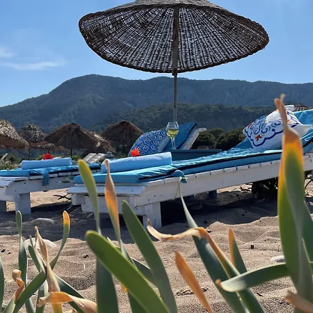 Bellerofon 4* Çıralı