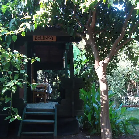 Bellerofon 3* Cirali